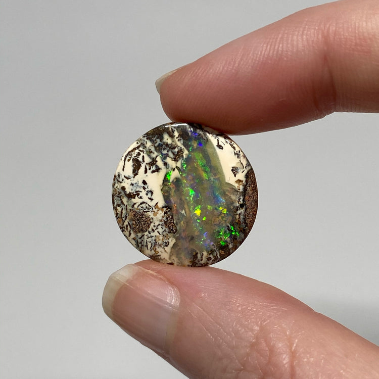 23.80 Ct round boulder opal pair