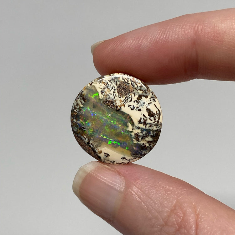 23.80 Ct round boulder opal pair