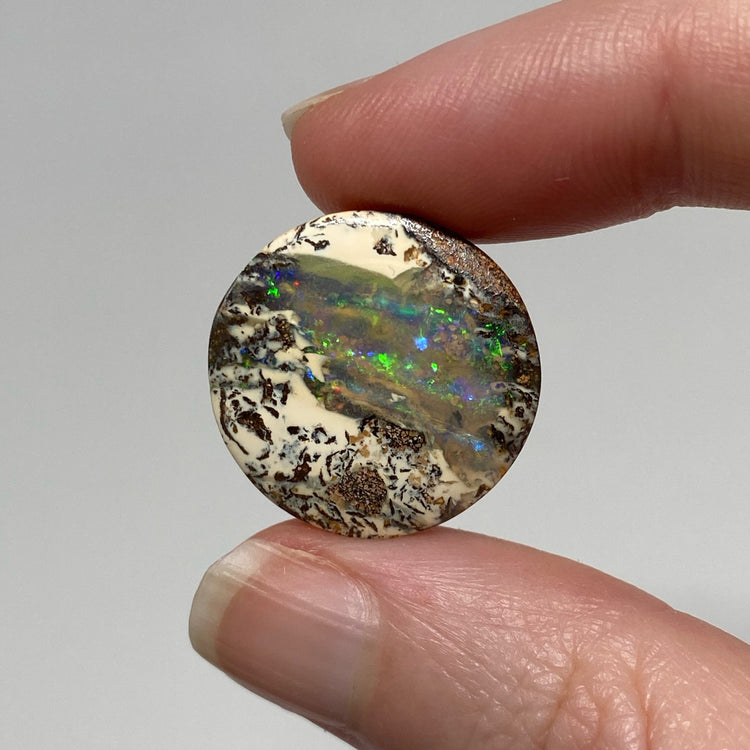 23.80 Ct round boulder opal pair