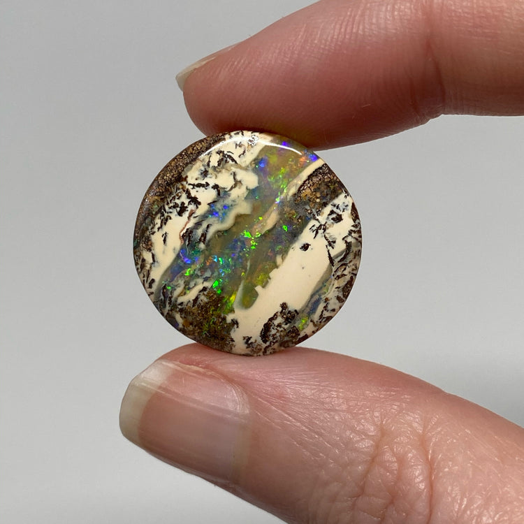 23.80 Ct round boulder opal pair