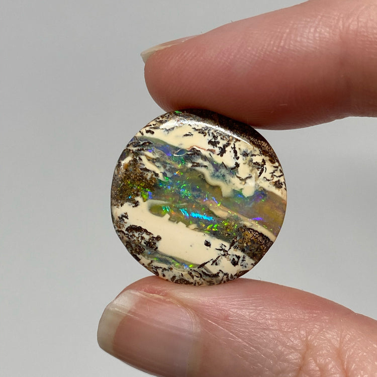 23.80 Ct round boulder opal pair